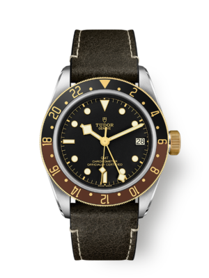 Tudor Black Bay GMT S&G
