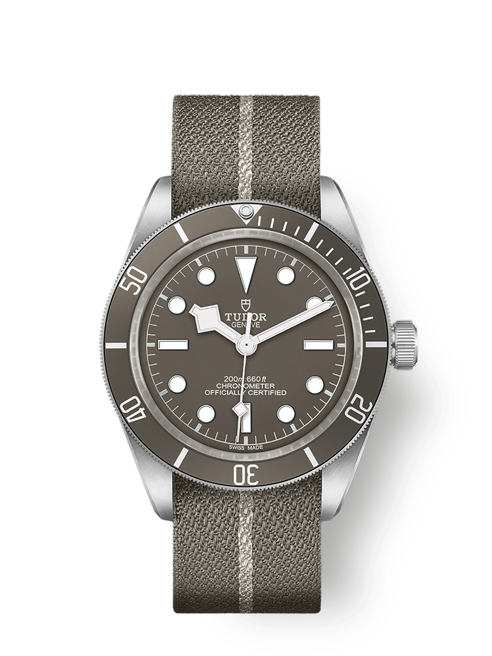 imgi_1604_tudor-m79010sg-0002