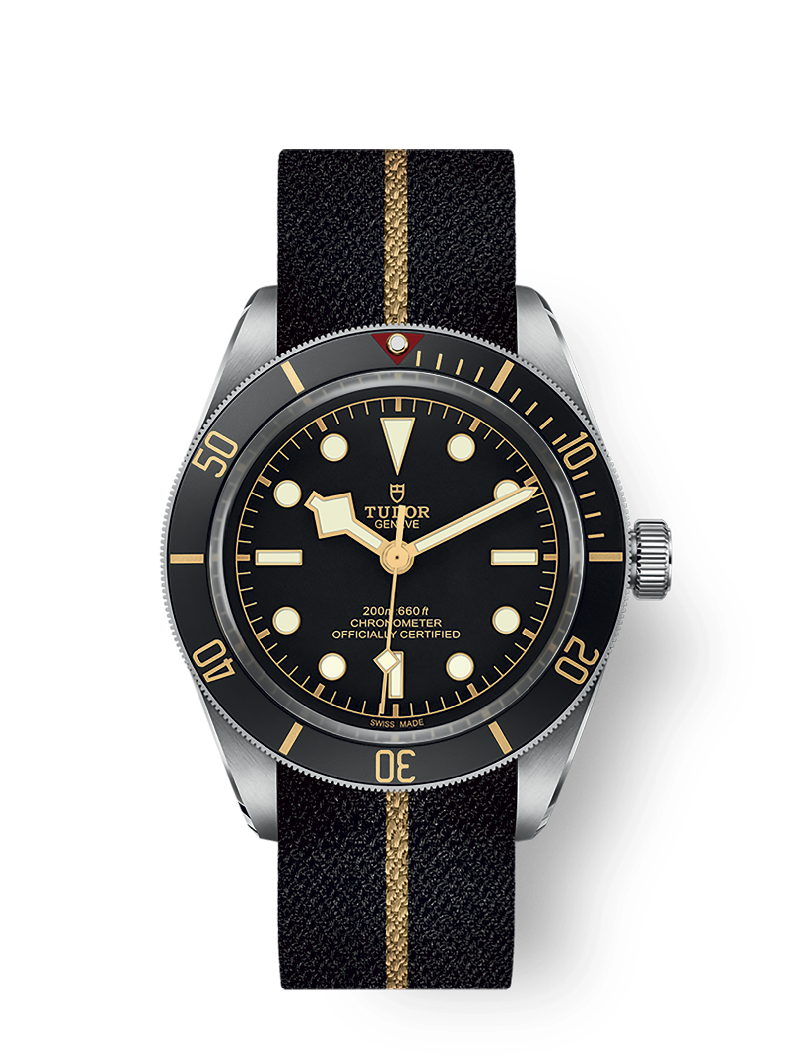 imgi_1609_tudor-m79030n-0003