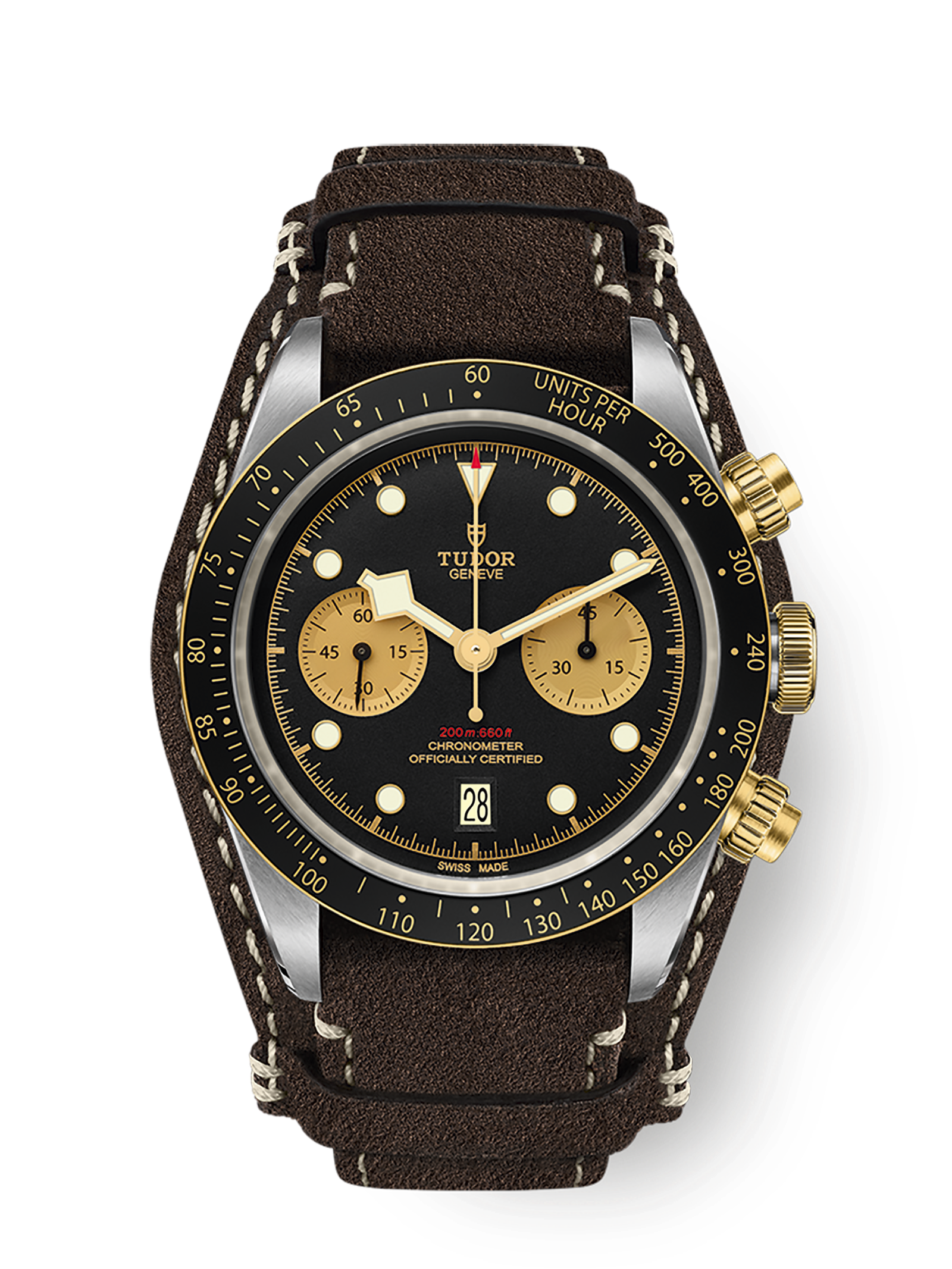 imgi_1666_tudor-m79363n-0002