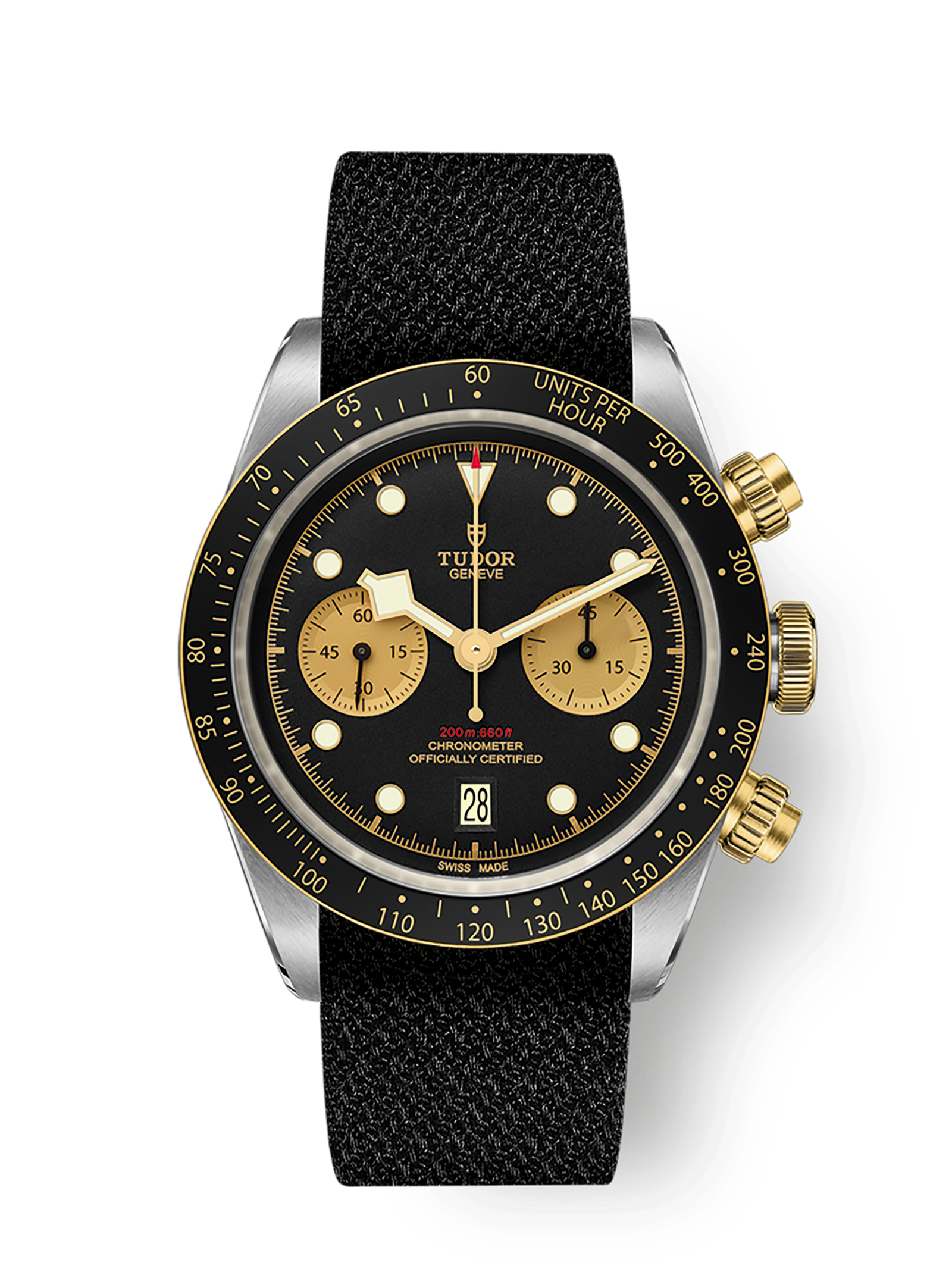 imgi_1667_tudor-m79363n-0003