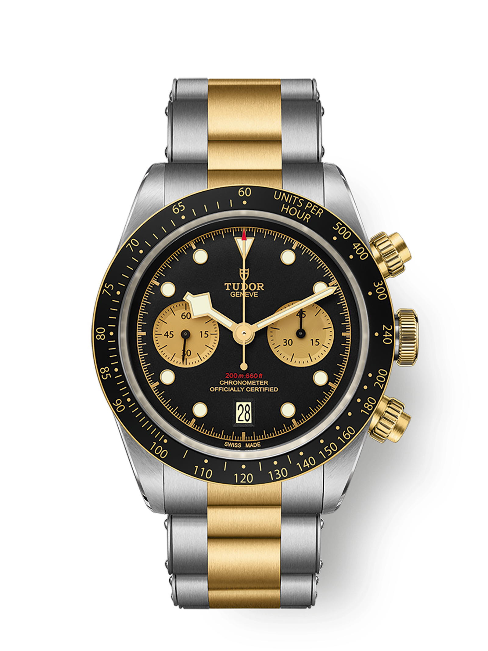 imgi_1668_tudor-m79363n-0001